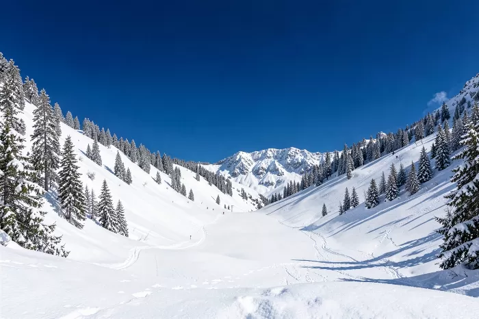 Alpine Bowl