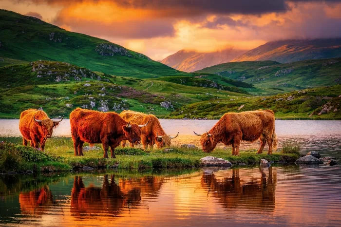 Highland Loch