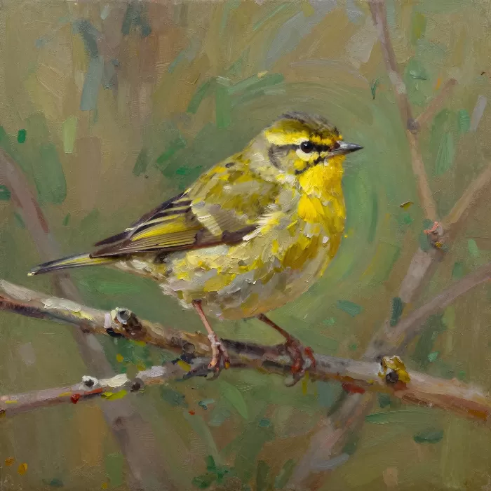 Warbler Study