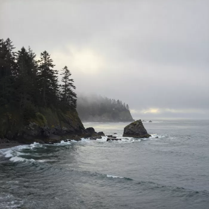 Spruce Headlands