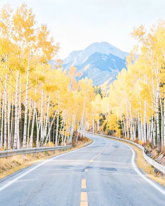Aspen Curve