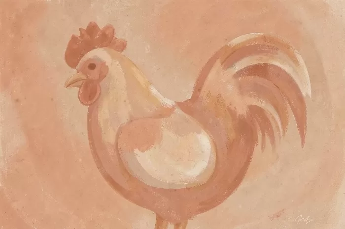 Rooster Warmth