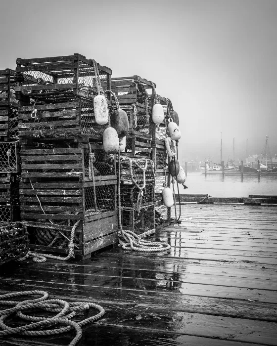 Wharf Lumber