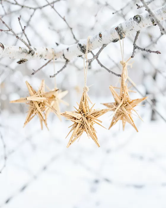 Straw Stars