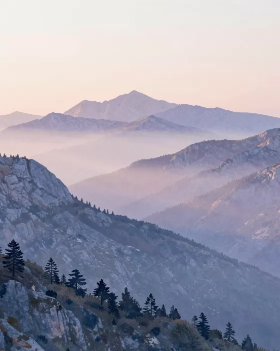 Misty Tramuntana