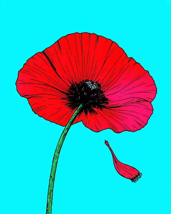 Poppy Fall