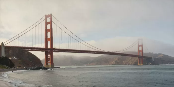 Mist And Steel