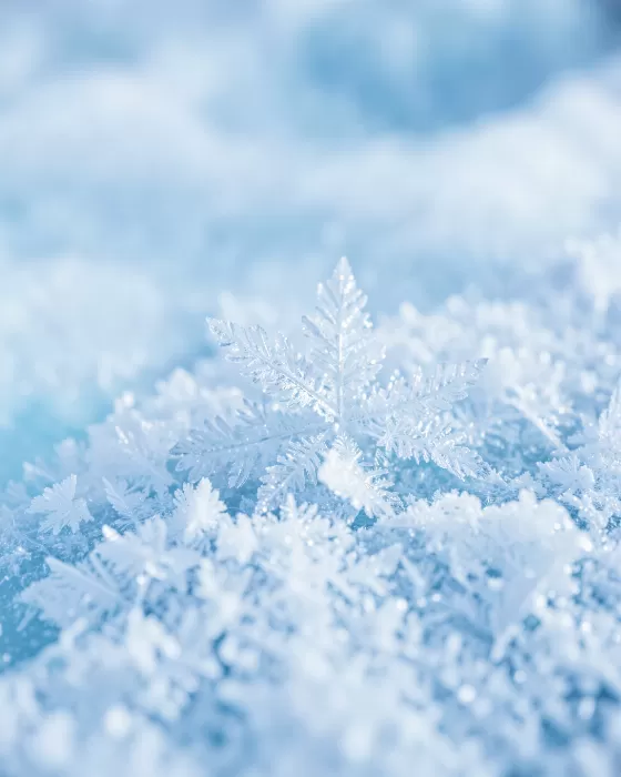 Frost Ridge