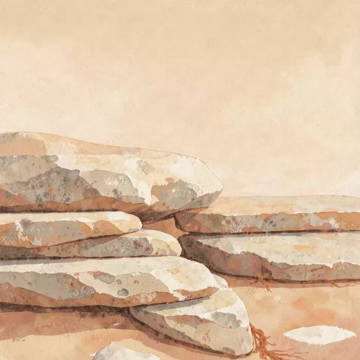 Maine Ledges