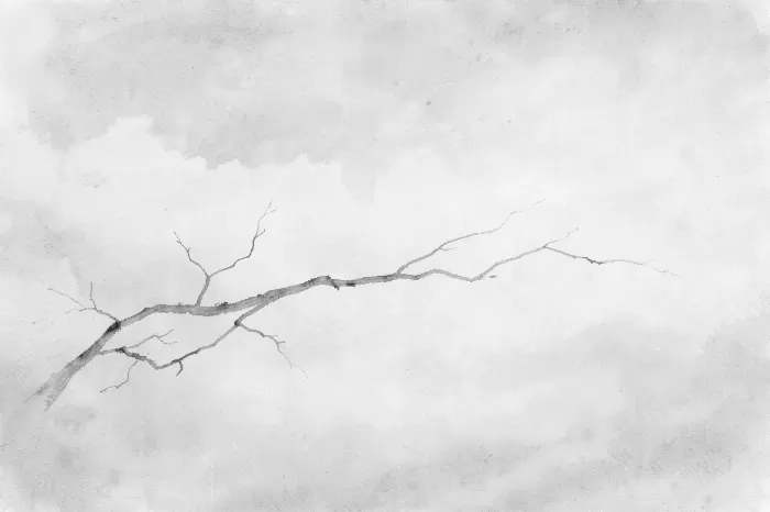 Bare Branch