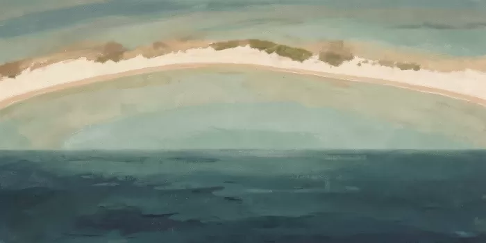 Reef Sandbar
