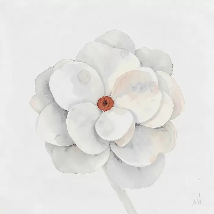 Pale Hydrangea