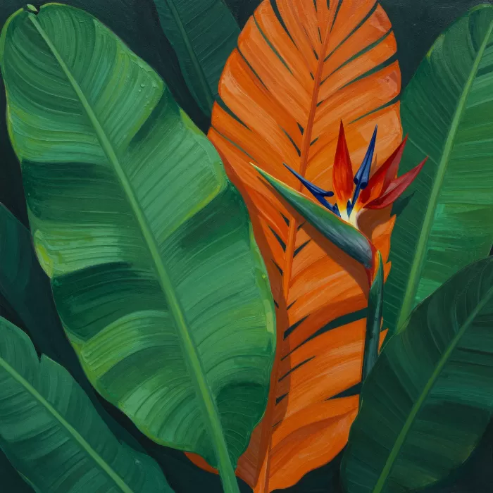 Tropical Shadows