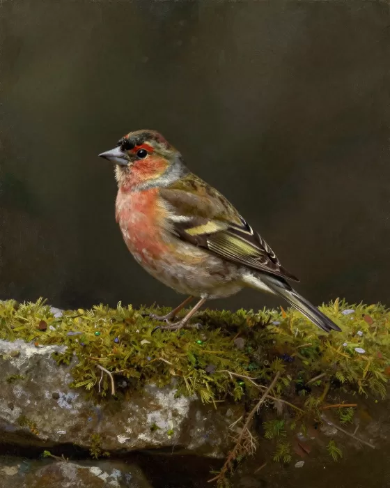 Feathered Rest