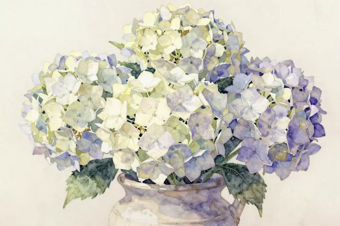 Lilac Blooms