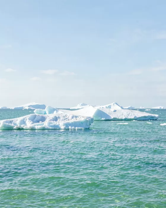 Greenland Icebergs