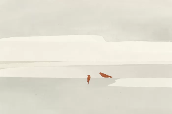 Quiet Sparrow