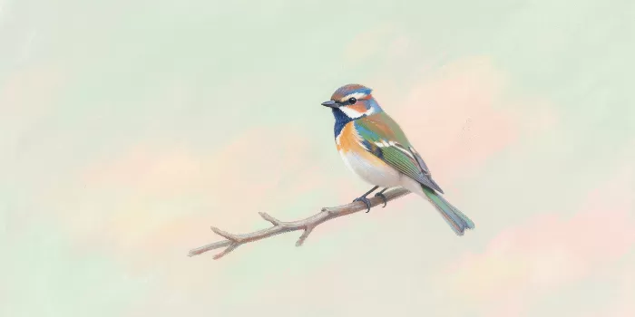 Pastel Warbler