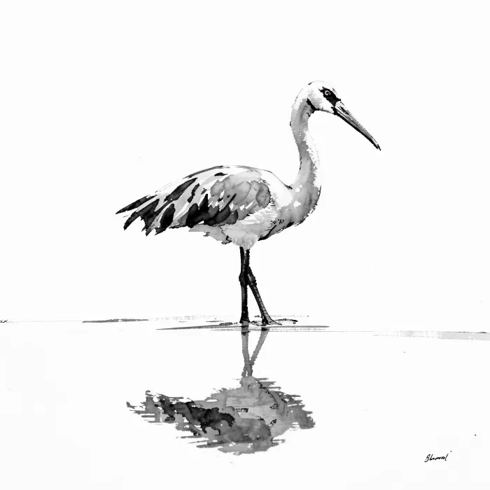 Crane