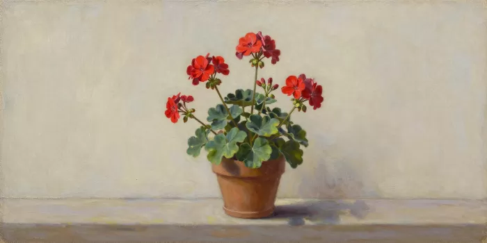 Windowsill Red