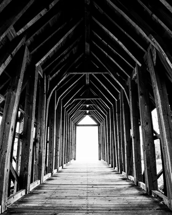 Crossing Light