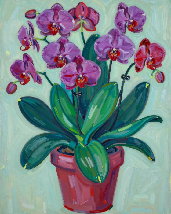 Orchid Majesty