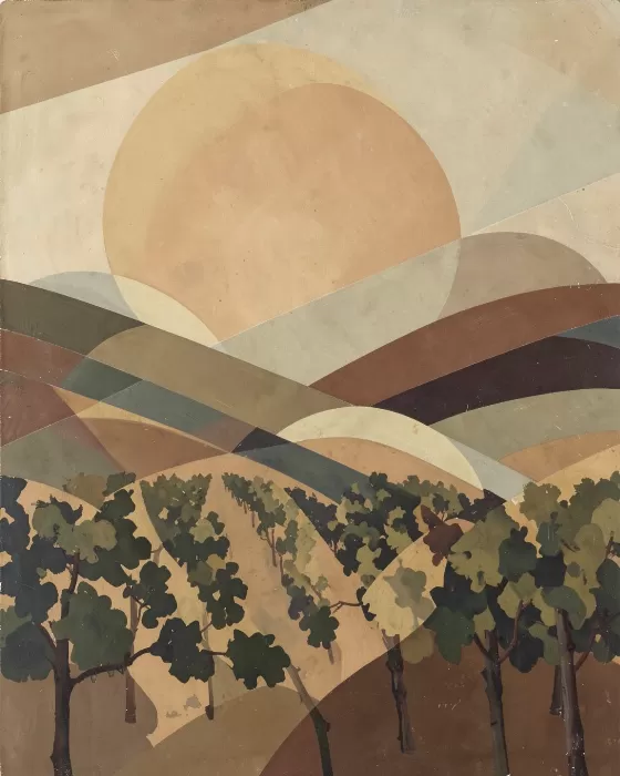 Sun Over Vines