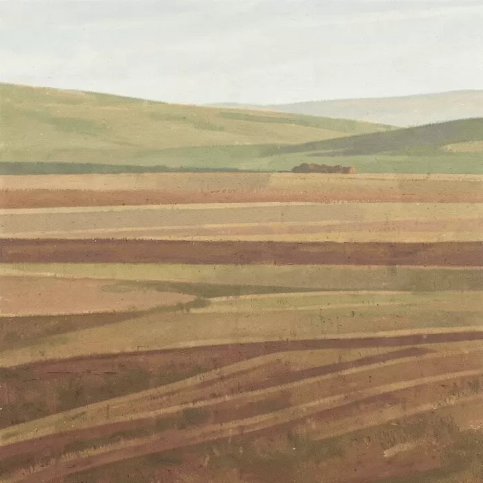 Furrow Lines