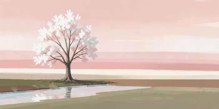 Orchard Stillness