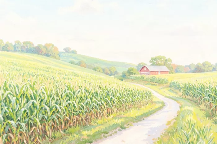 Cornfield Curves