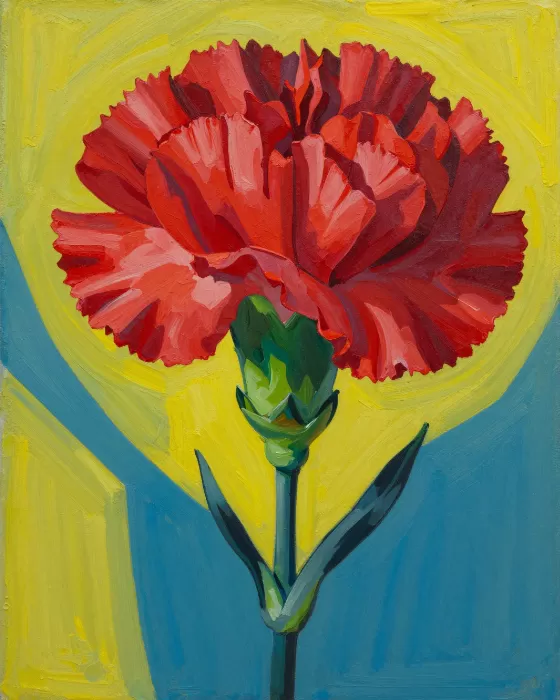 Crimson Carnation