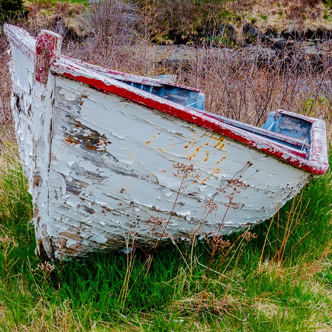 Yesterdays - Newfoundland art print