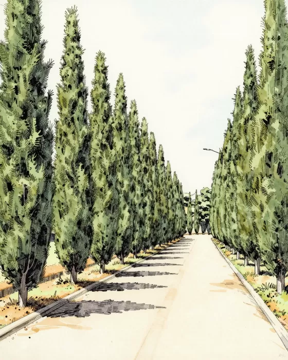 Tuscan Approach