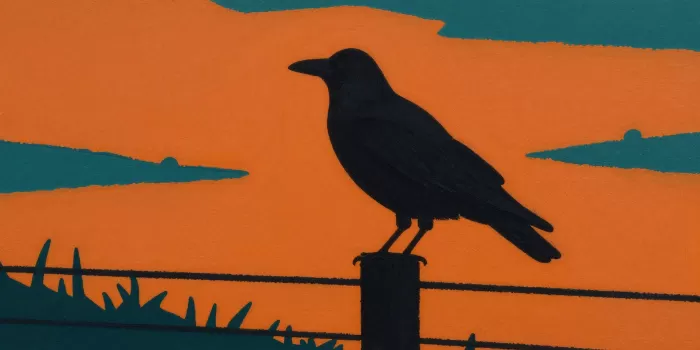 Crow At Dusk