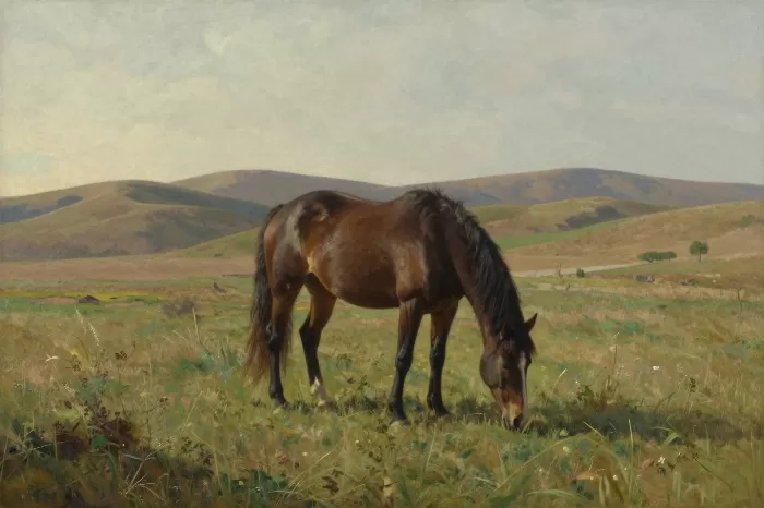 Pasture Light