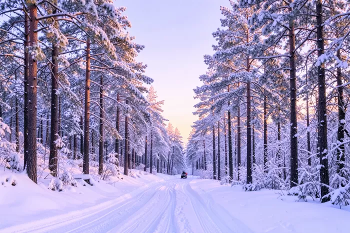 Snowmobile Trail