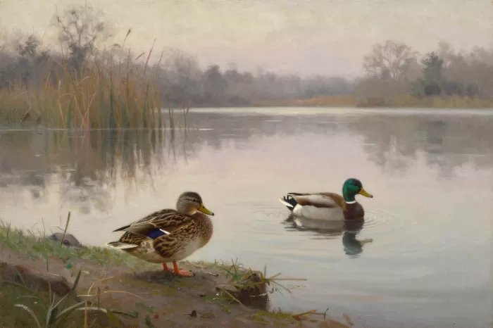 Pond Pair