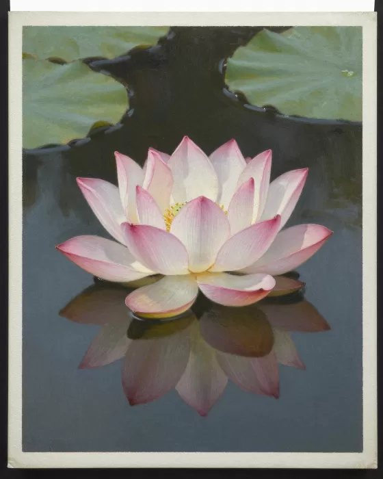 Pond Blossom