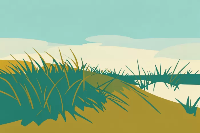 Cape Dunes
