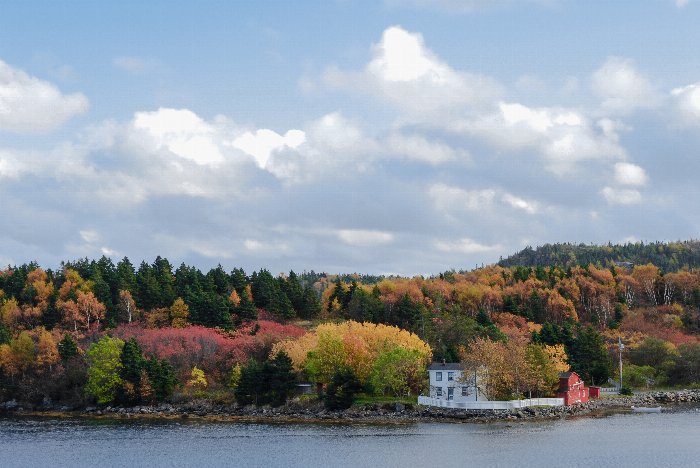 beautiful fall bay - Newfoundland art print