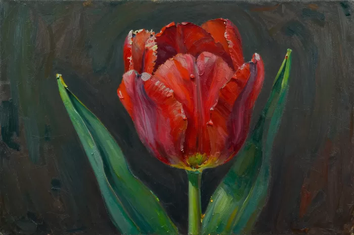 Tulip Impasto