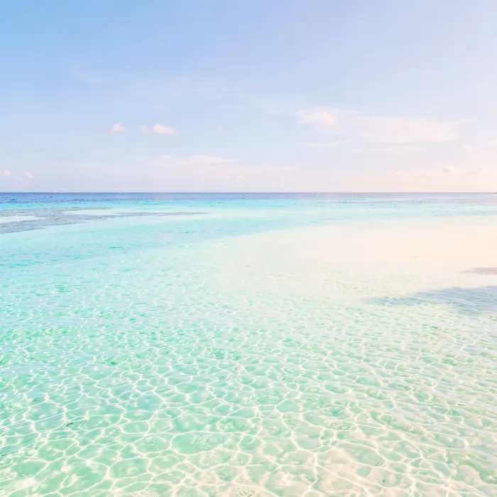 Bahama Shallows