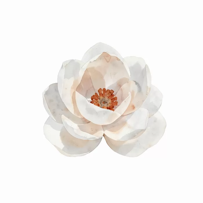 Camellia Calm