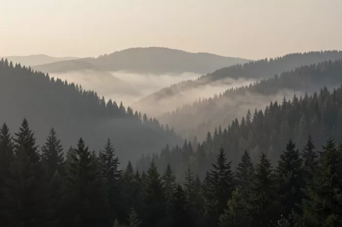Foggy Valley
