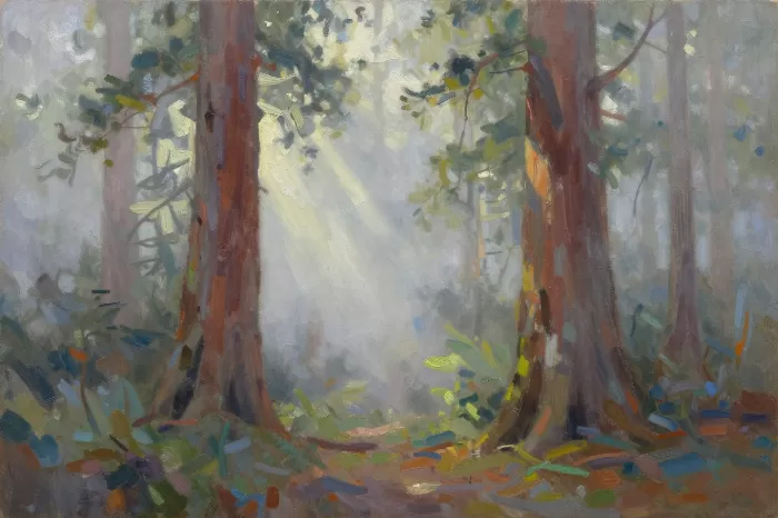 Redwood Sunbeams
