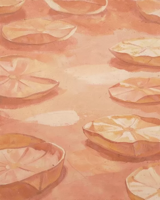 Terracotta Lily