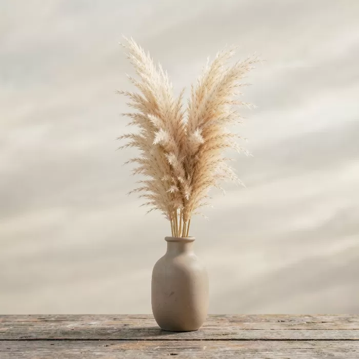 Ceramic Pampas