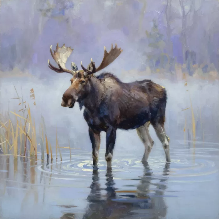 Lone Bull