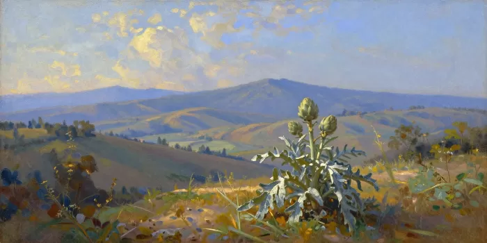 Artichoke Terrace