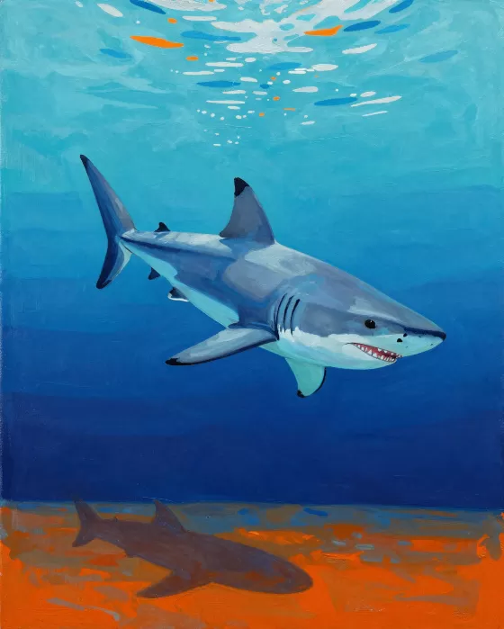 Shark Break